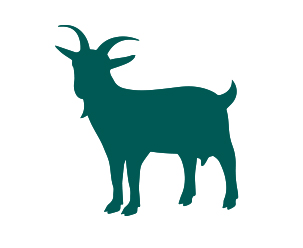 Small Stock Feed South Africa