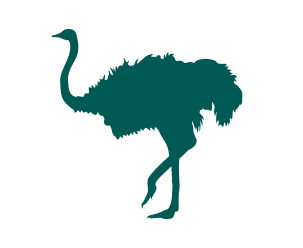 Ostrich Feed South Africa